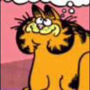 Meet your Posher, Rowan